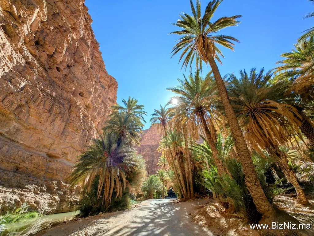 Les Gorges d'Ait Mansour