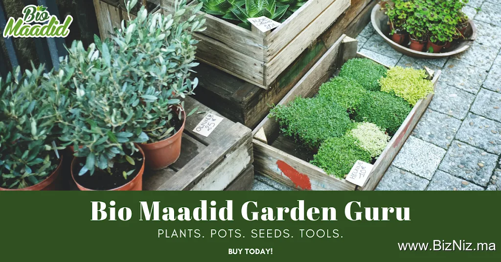 Bio Maadid Family Farm