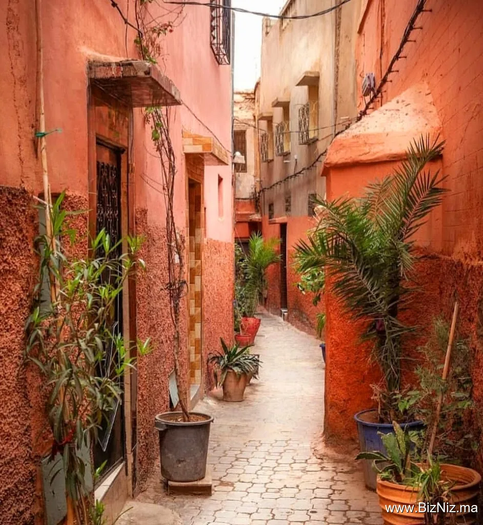 Maroc Escape