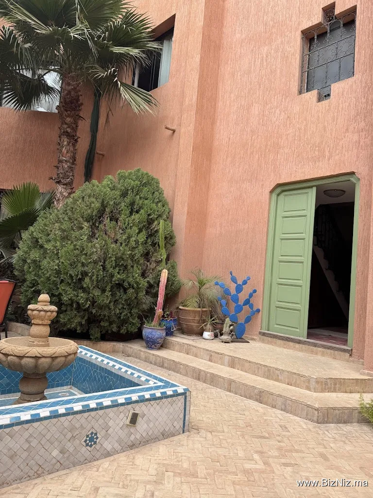 Dream Surf Camp In Taghazout Bay