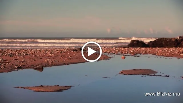Mint Surf - Surf Camp & Yoga