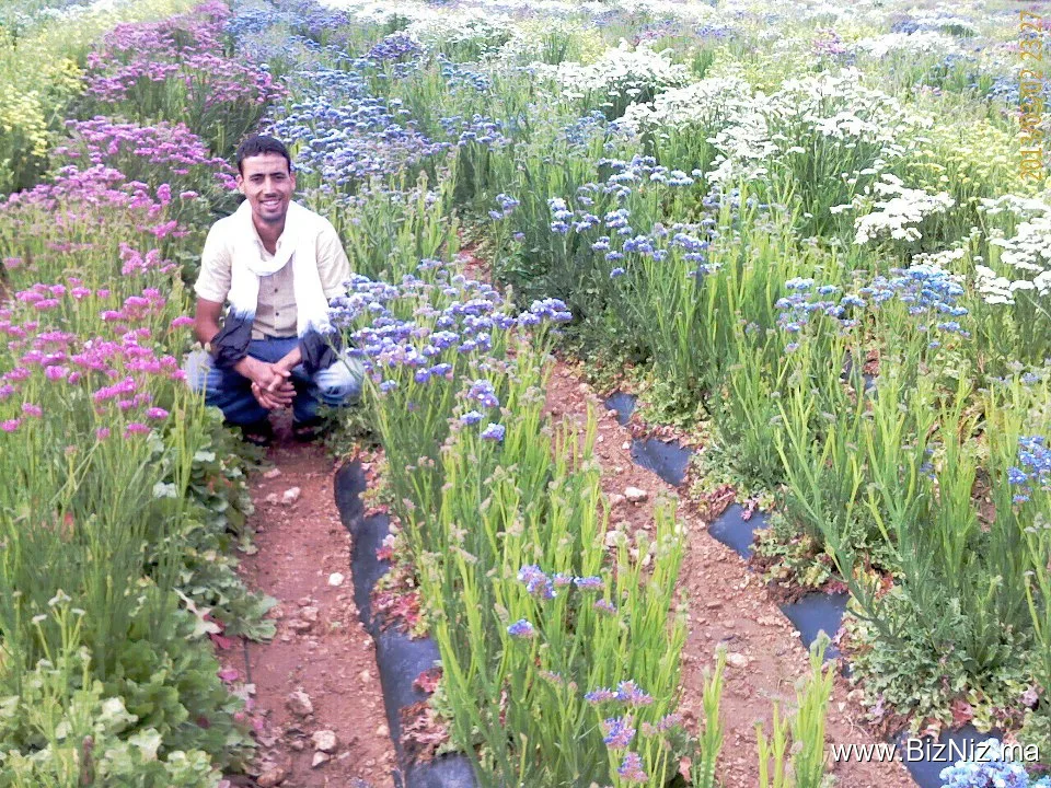 Abdellah Farmer