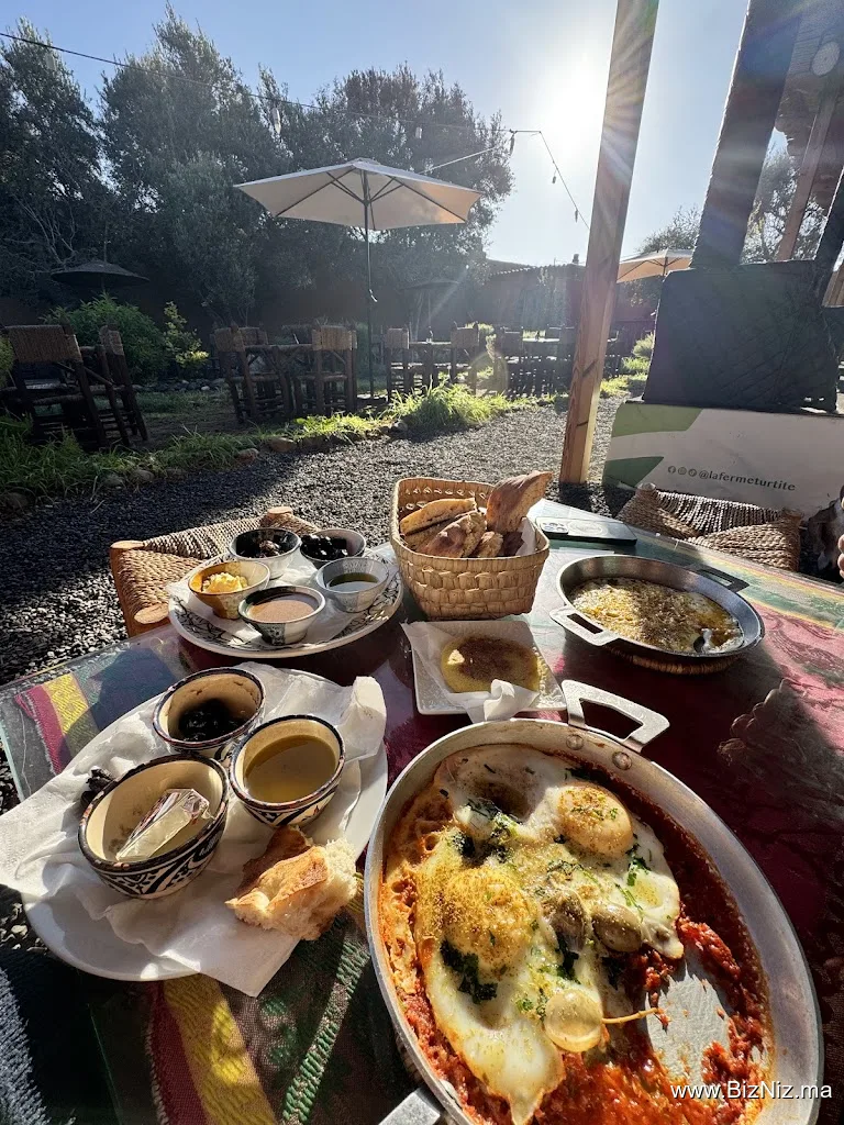 La Ferme Turtite : Café, Resto, Beldi & Potager Bio