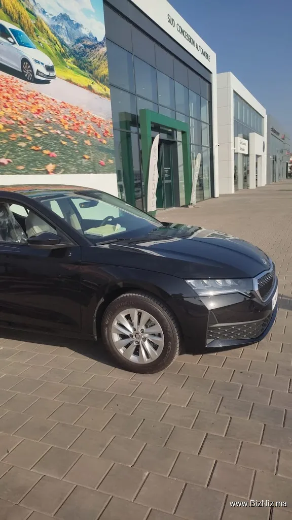 Tonus Car : Location de voitures