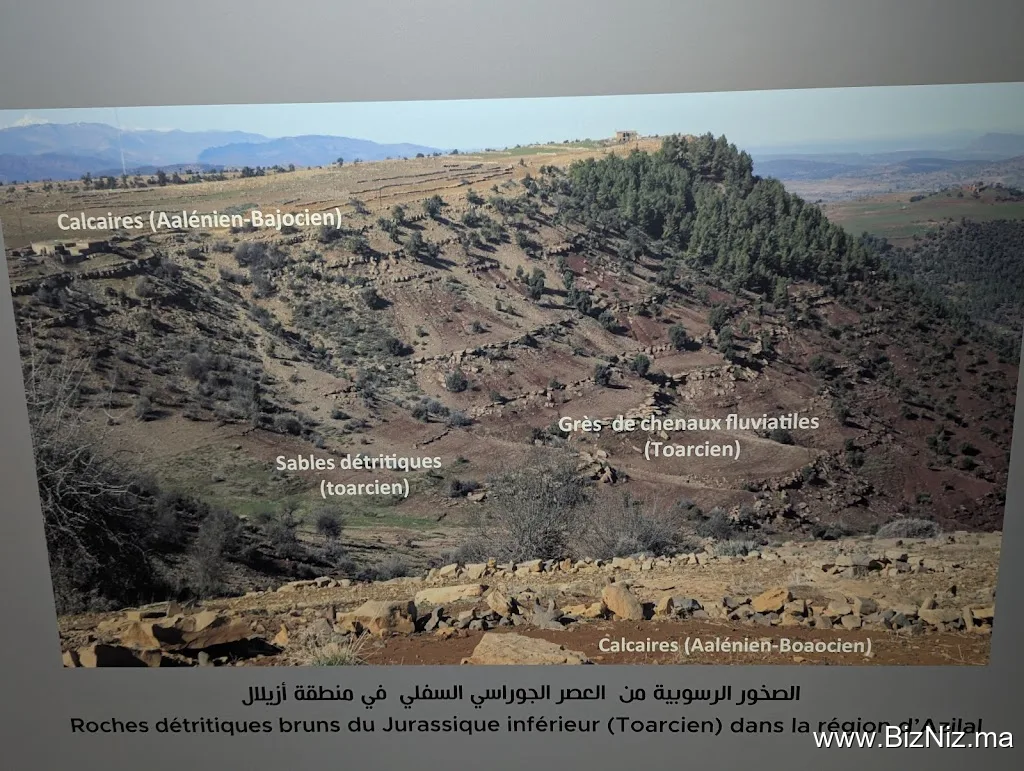 Azilal museum
