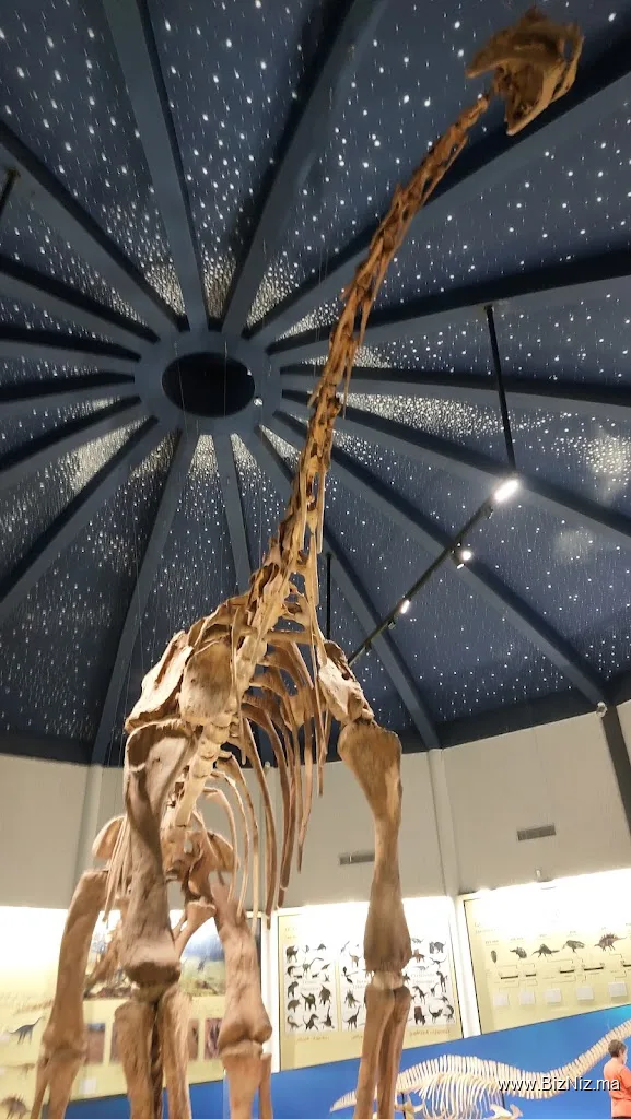 Azilal museum