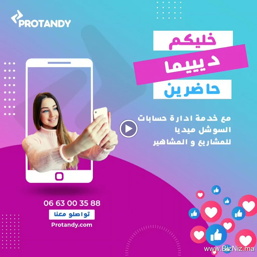 Protandy | Website Design & Digital Marketing