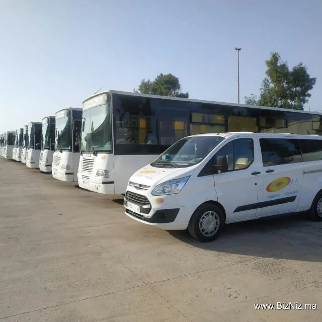 MISTER BUS