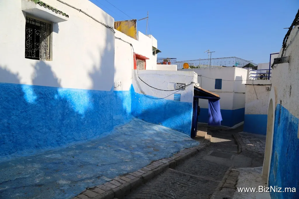 Chefchaouen Day Tours Excursions & Transfers Casablanca
