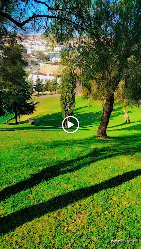 الربح من الانترنت