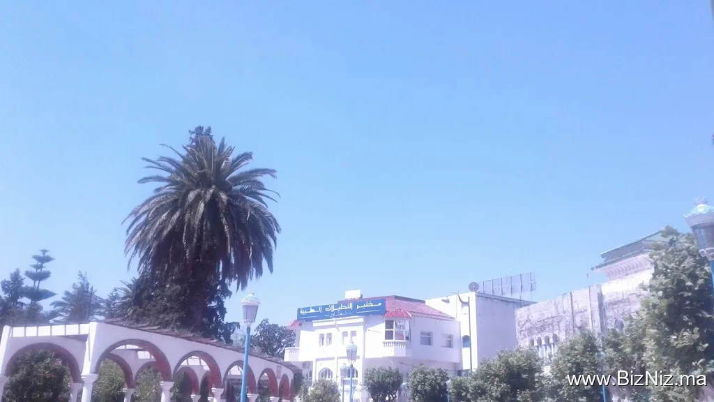 Laboratoire Chefchaouen d’analyses médicales