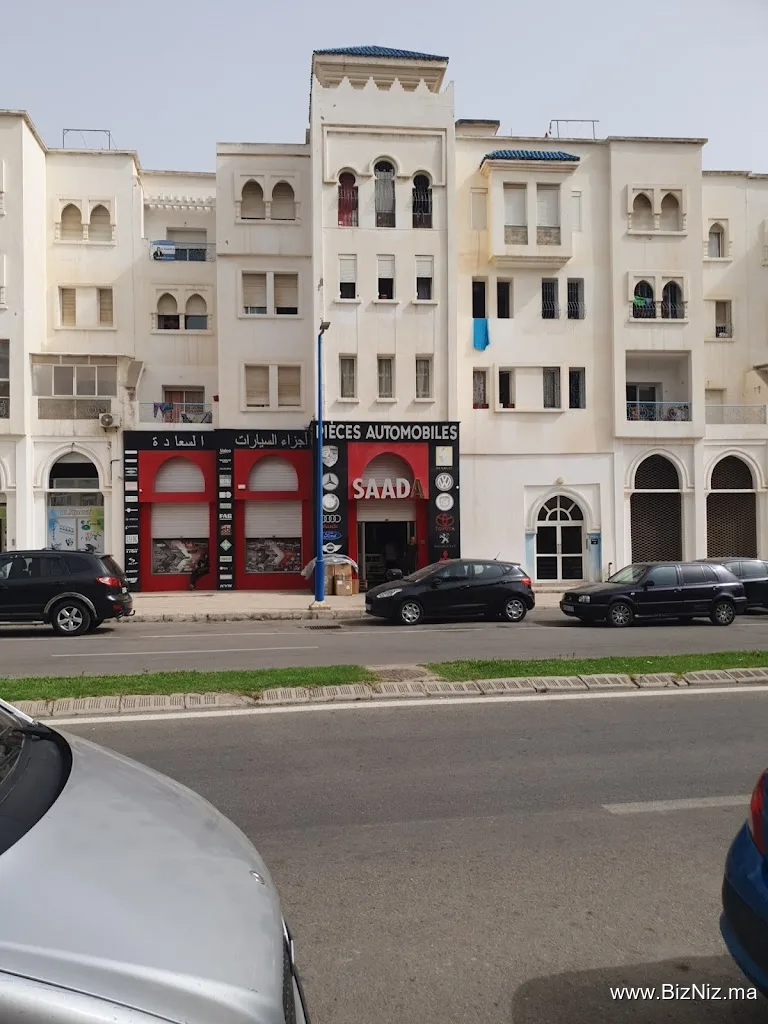 Piece Automobiles Saada