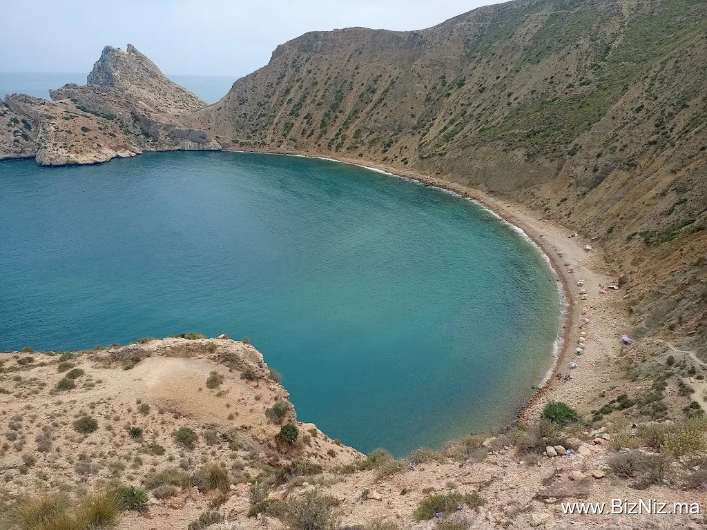 الجبهة / El Jebha