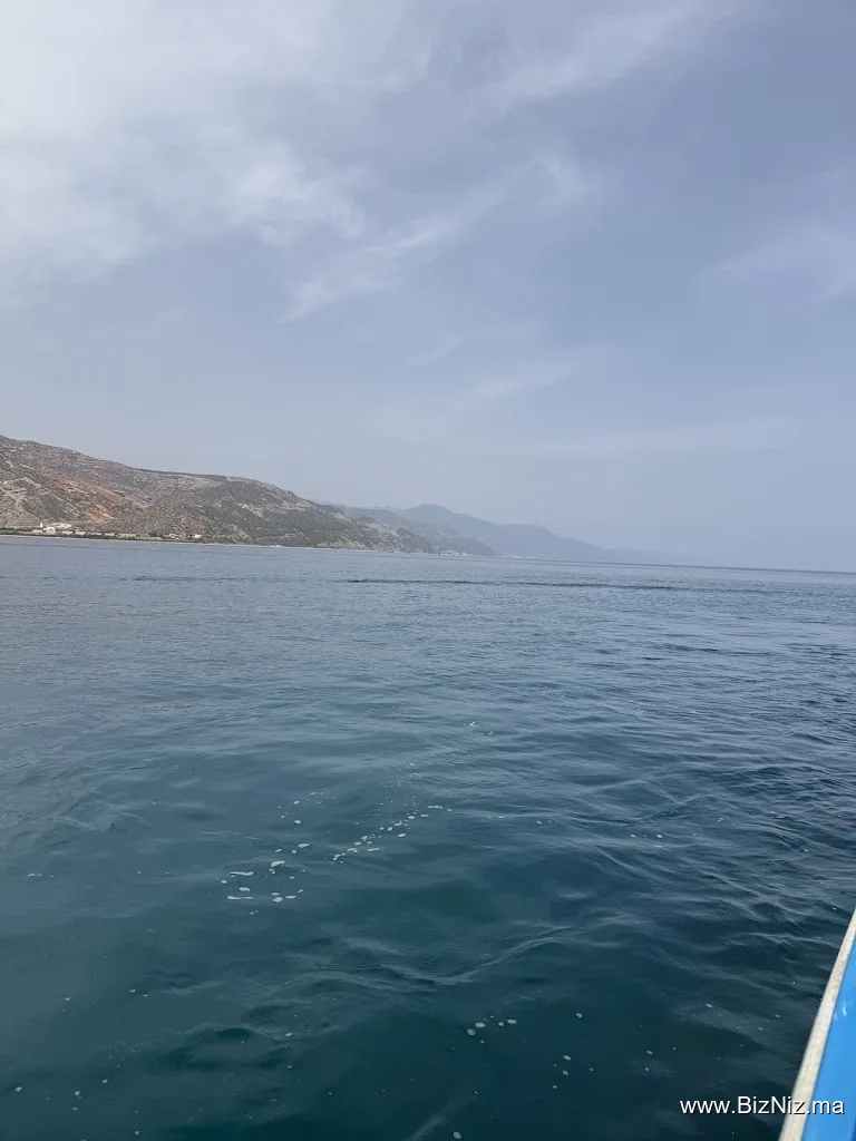Sea tours