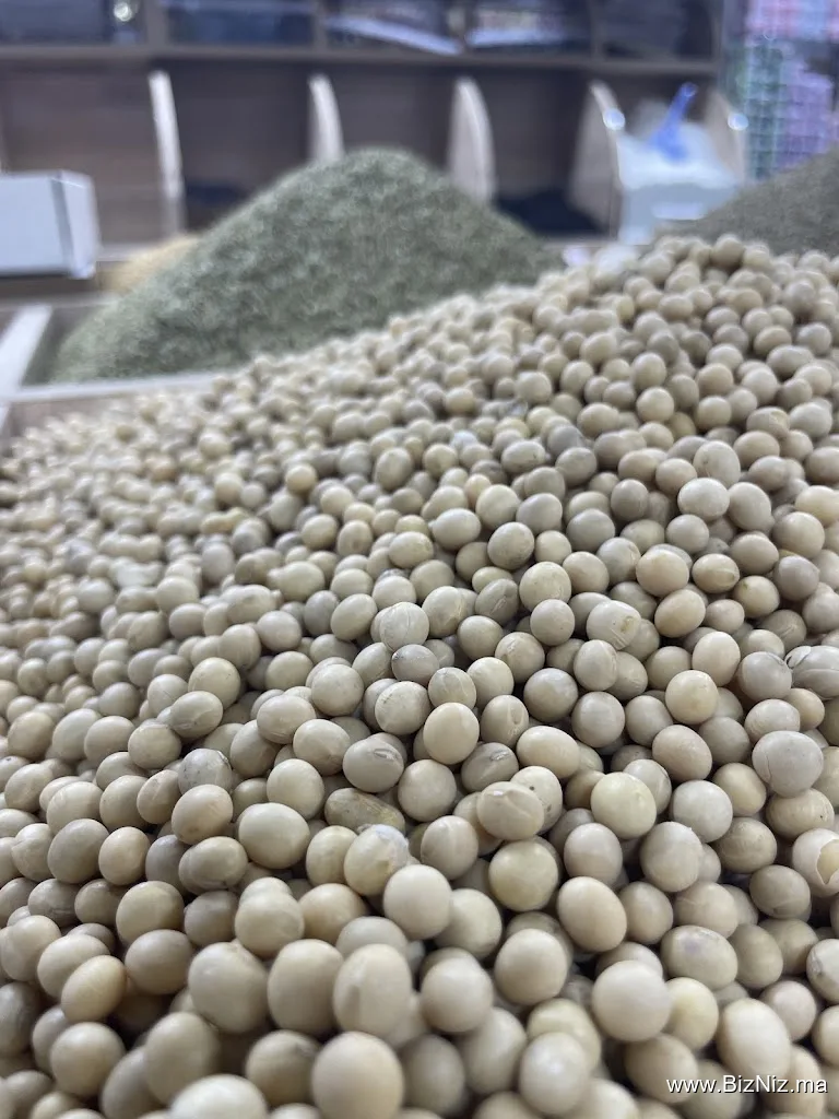 ميني ماركت الشدادي عماد