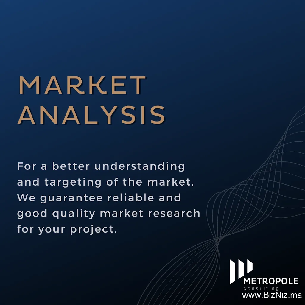 Metropole Consulting