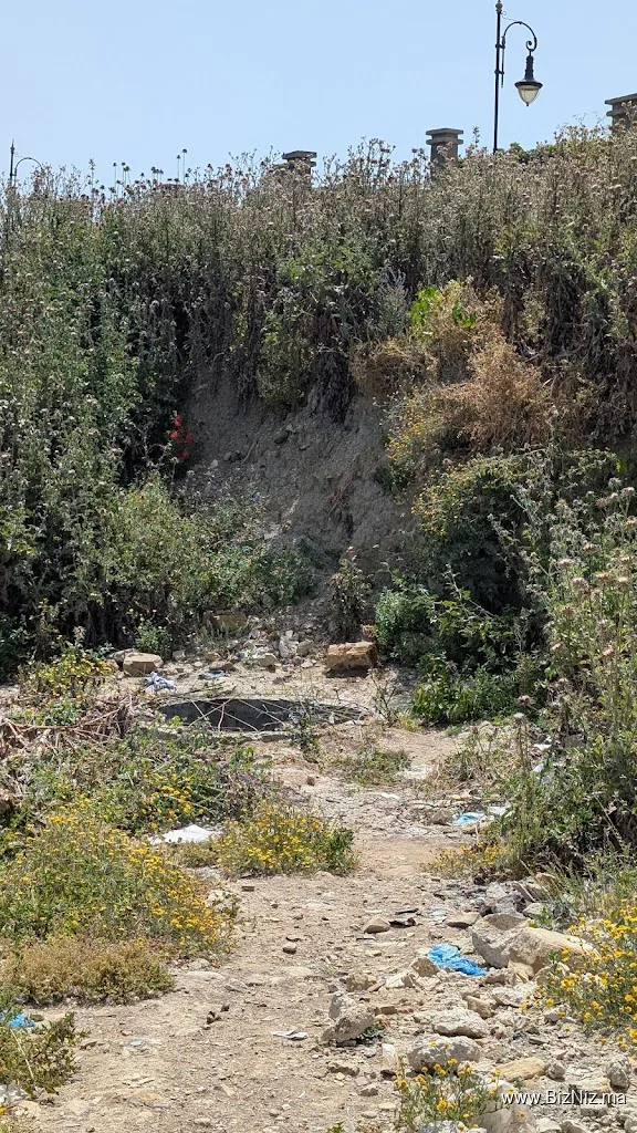 Dar Dbagh