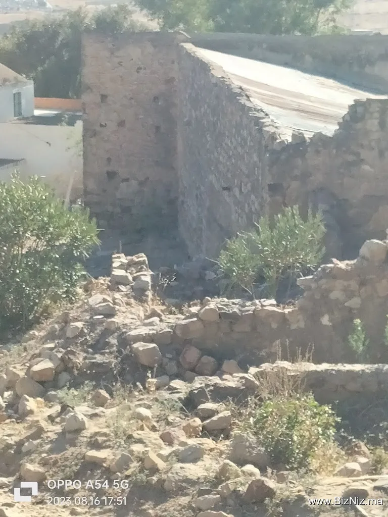 مدشرالنحل جمعاعةالزينات