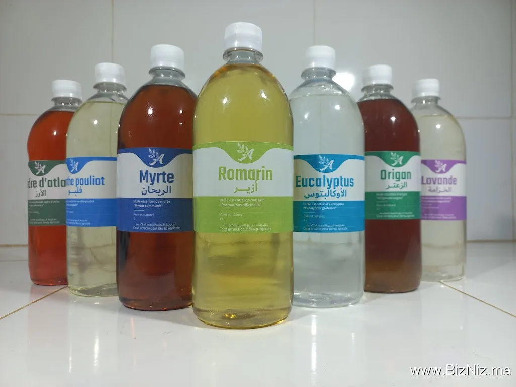 Coopérative Arrabie