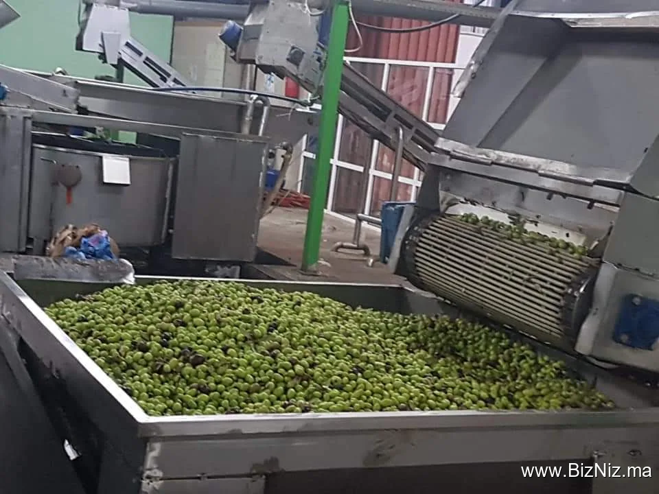 معصرة جوهرة الريف لزيت الزيتون
