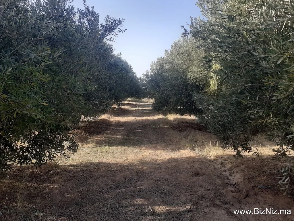 GNSS Nador , Yassine Ma