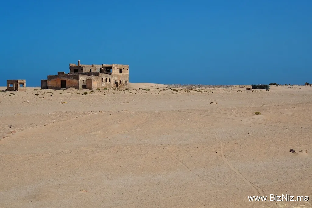 دار لميا