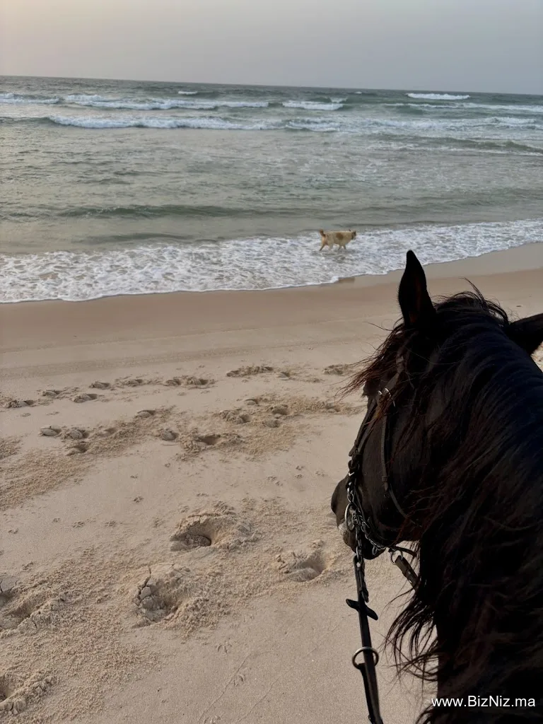 Ranch des Dunes