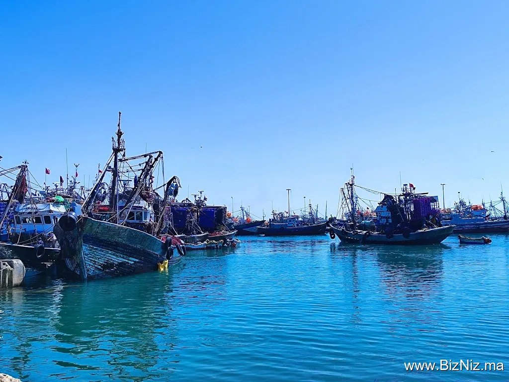 Dakhla Port