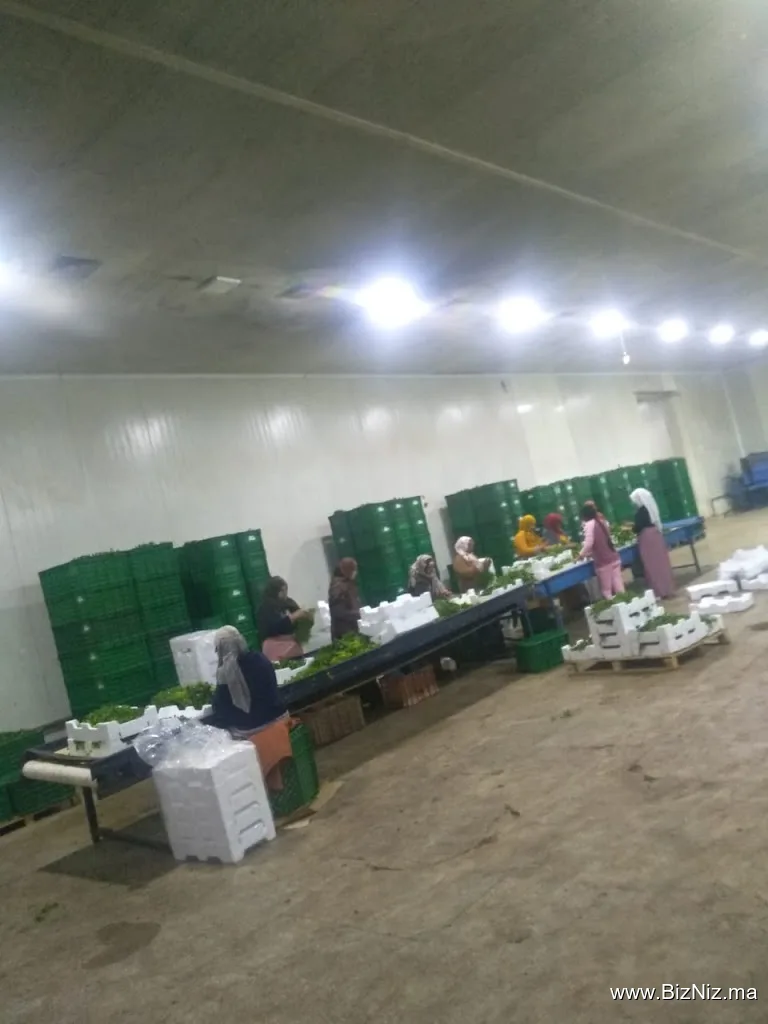 Station d’emballage et Frigo de stockage