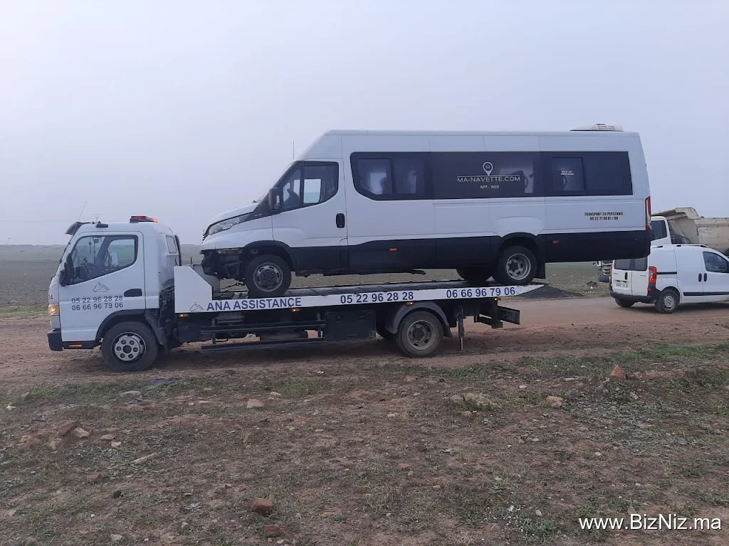 ANA ASSISTANCE