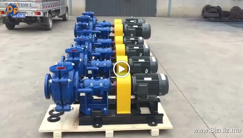Zima Pumps Worck Shop
