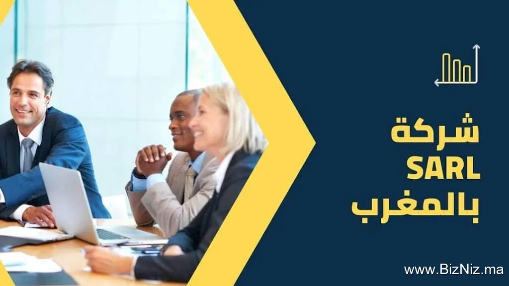STE ELANI CONSEIL sarl au (domiciliation des entreprises)