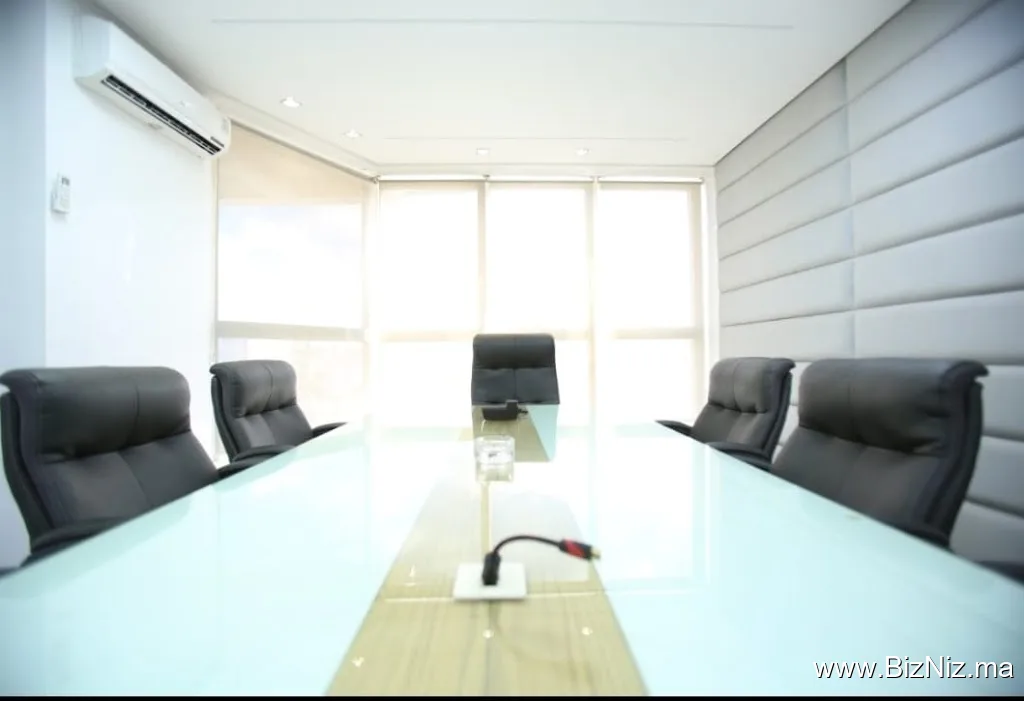 FMEA: Creation of company & corporate domiciliation