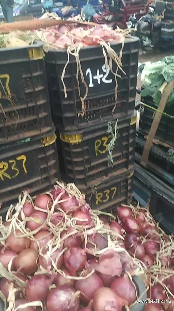 Marché des Légumes et Fruits en gros