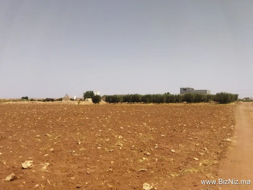 الامبراطورية عبد الكبير بن العربي عابد