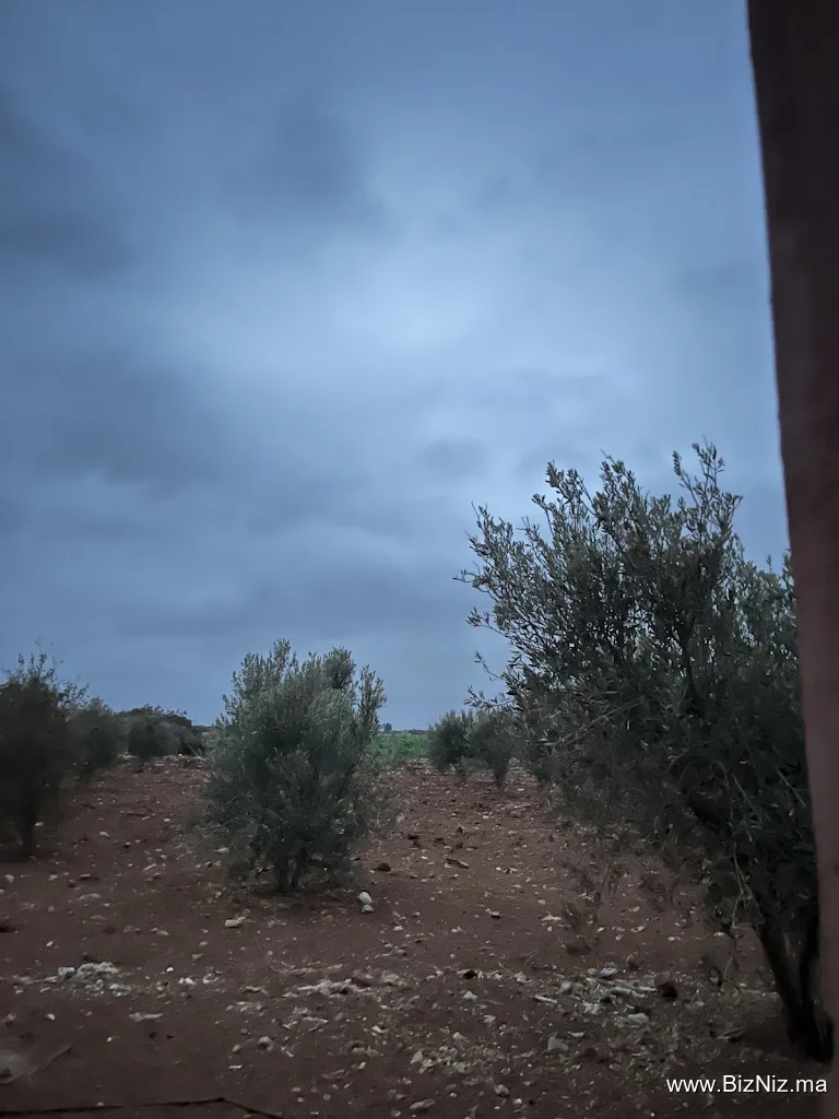 دار الحاج سليمان بن محمد