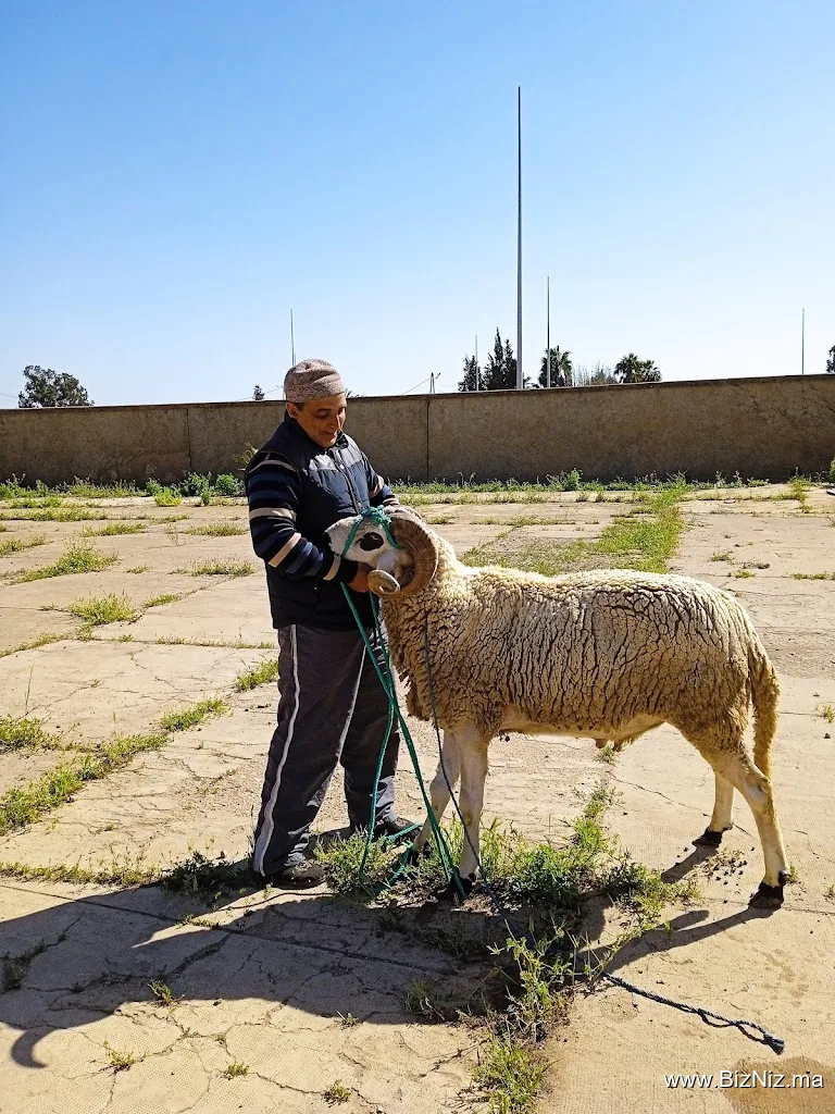 TotalEnergies OULED FREJ