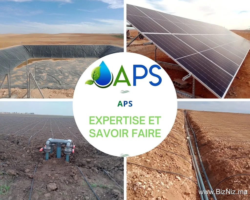 Agri Phyto Solution (A.P.S)