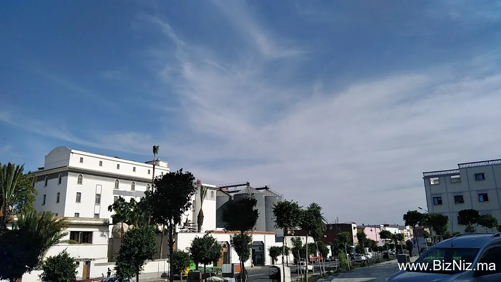 Grands Moulins de Safi s.a.