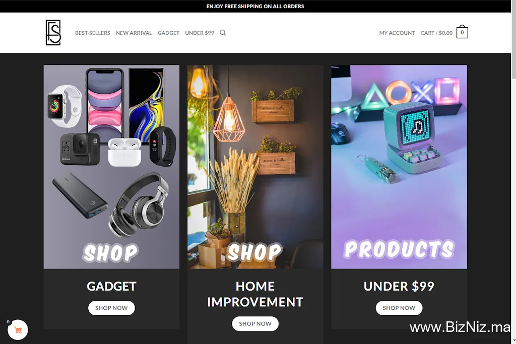 Fast Shipping Store