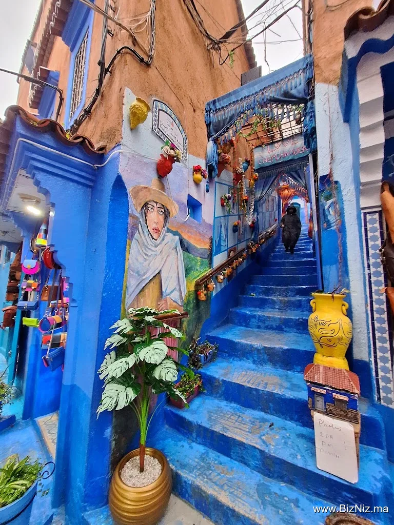 Around fez tours - 3t travel
