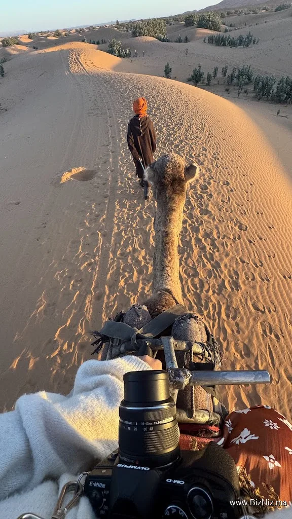 Around fez tours - 3t travel