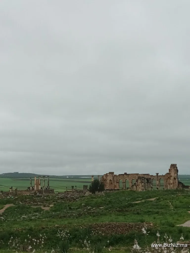 Around fez tours - 3t travel