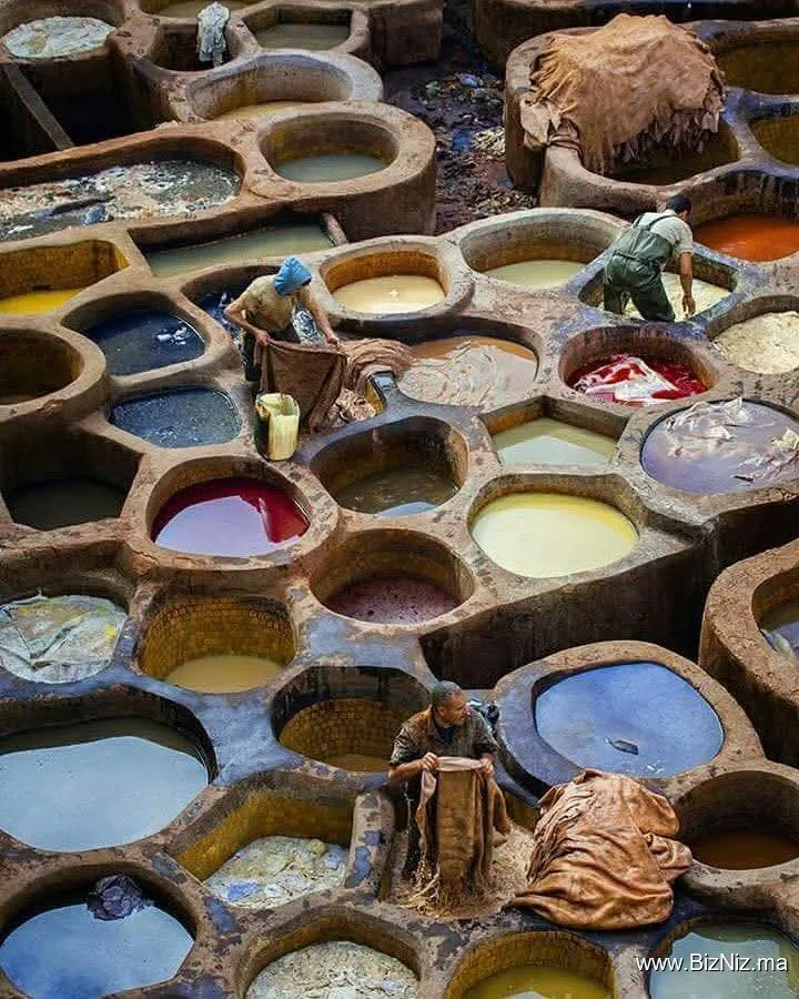 Moroccan Tannery
