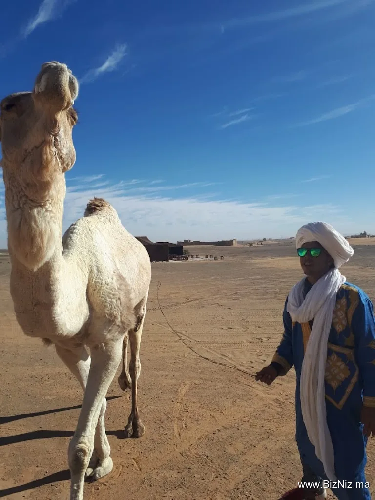 Morocco Fez Desert Tours