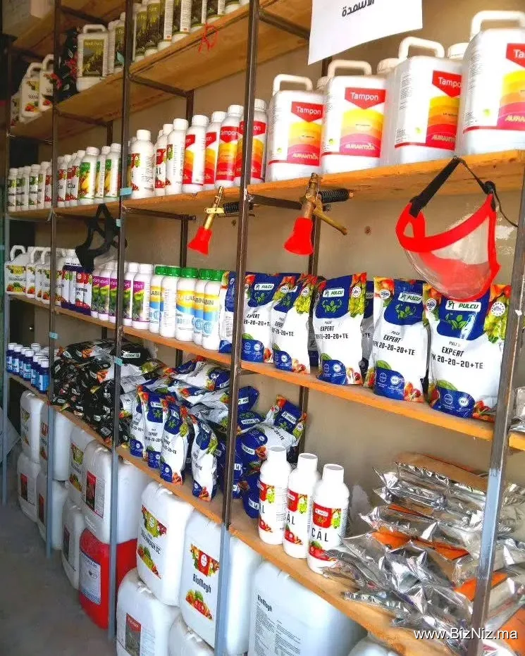 Ste imilchil agri