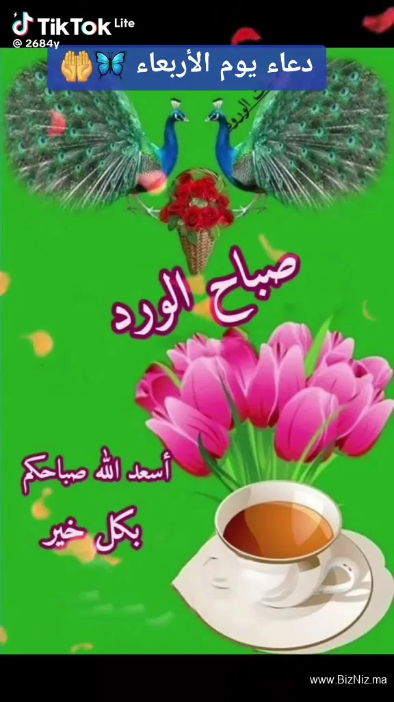 Mini Market Houssam