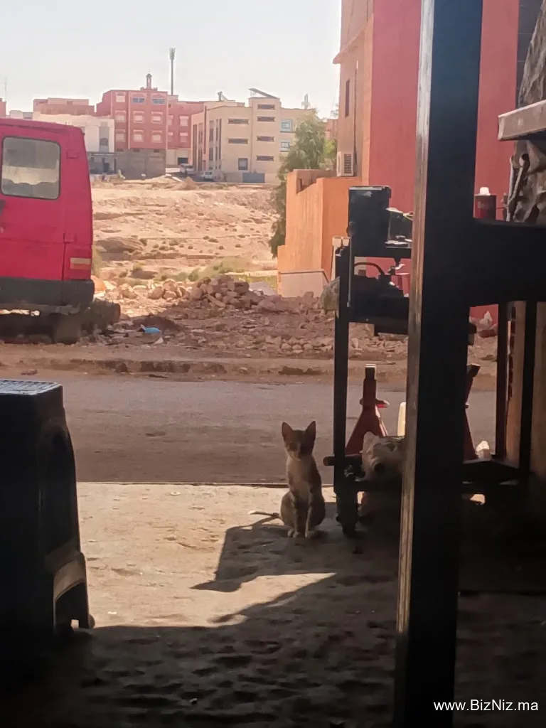 بنكازة لاصلاح الصيارات