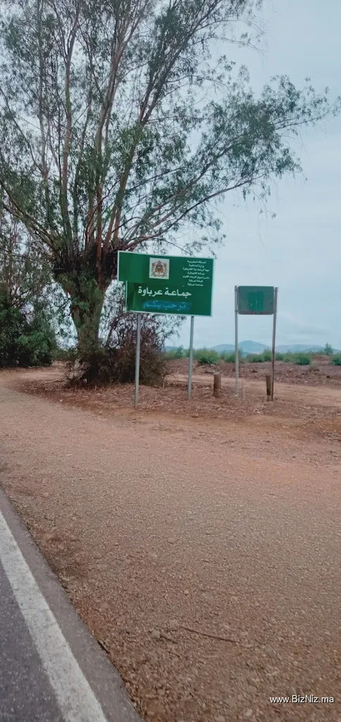 عرباوة