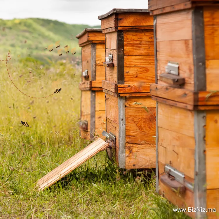 Beekeeping products and equipments